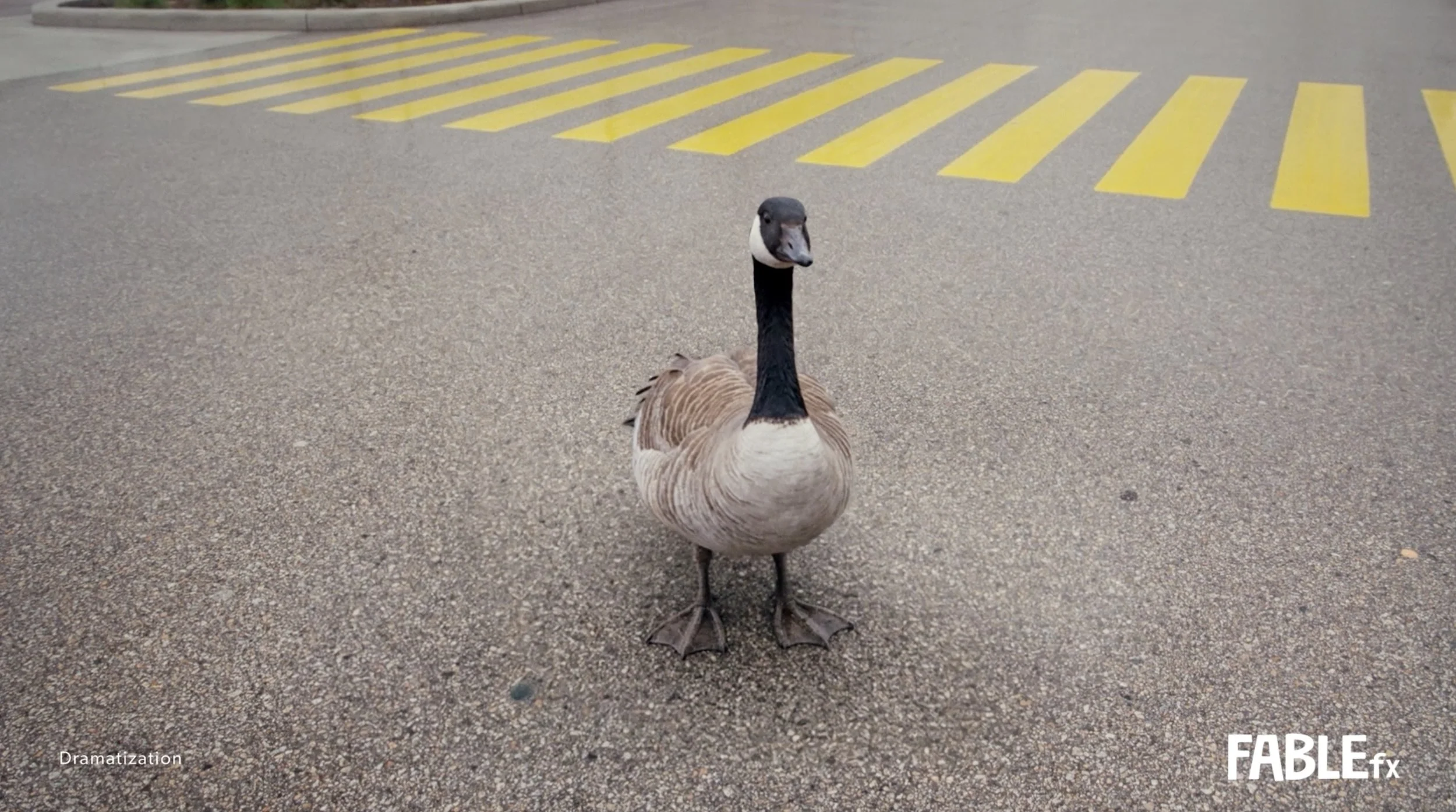 rcss_goose_still.jpg