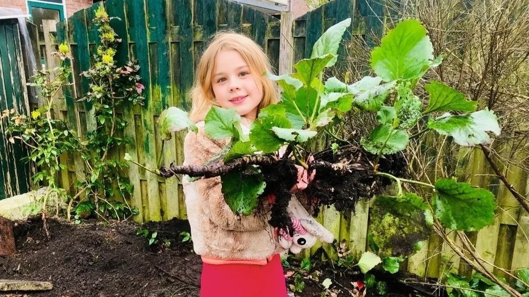 Red planten van de sloop op 20 december