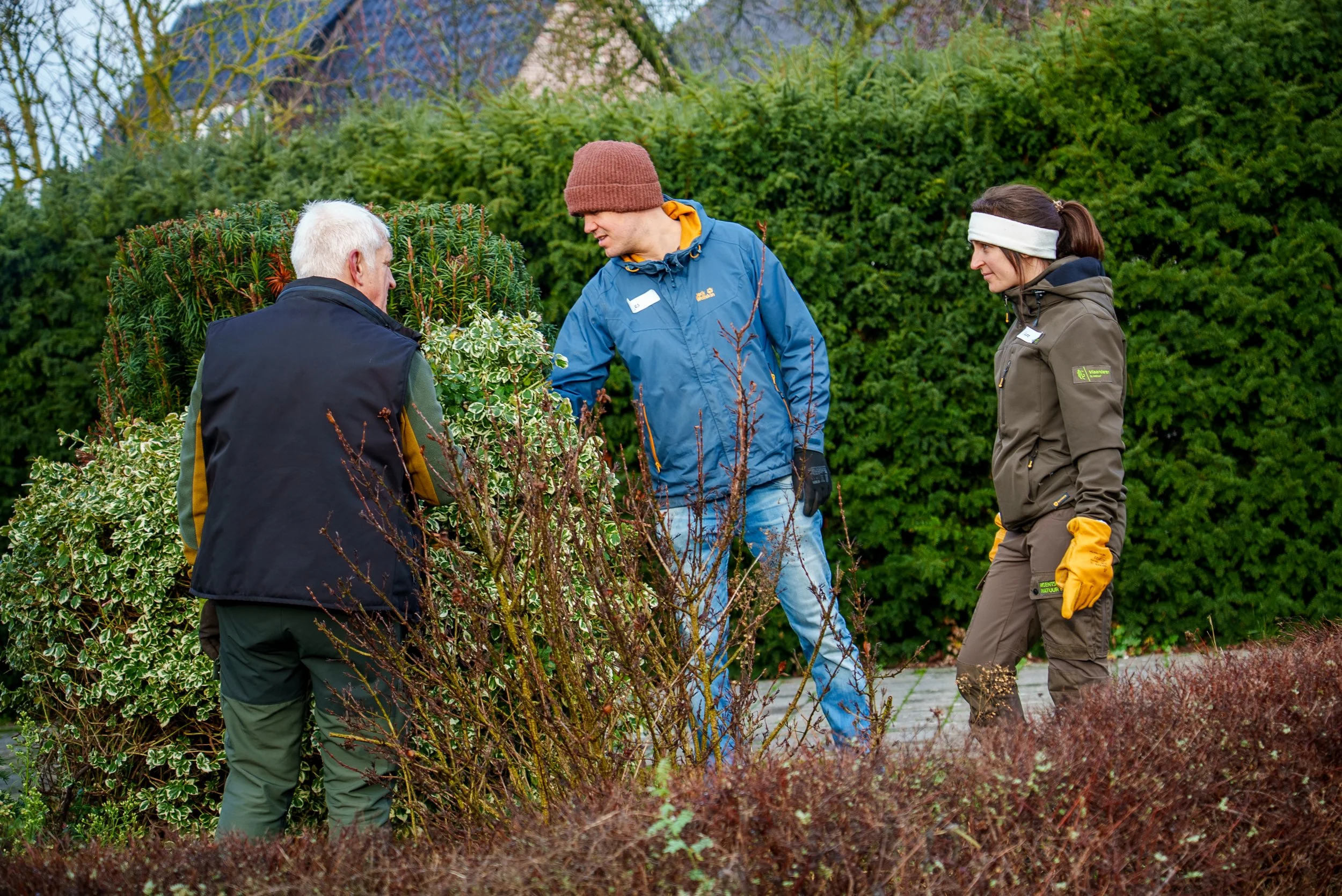 2025-12-22_NZL_Planten-redden-van-de-sloop_19_c_De-Werkvennootschap.jpg