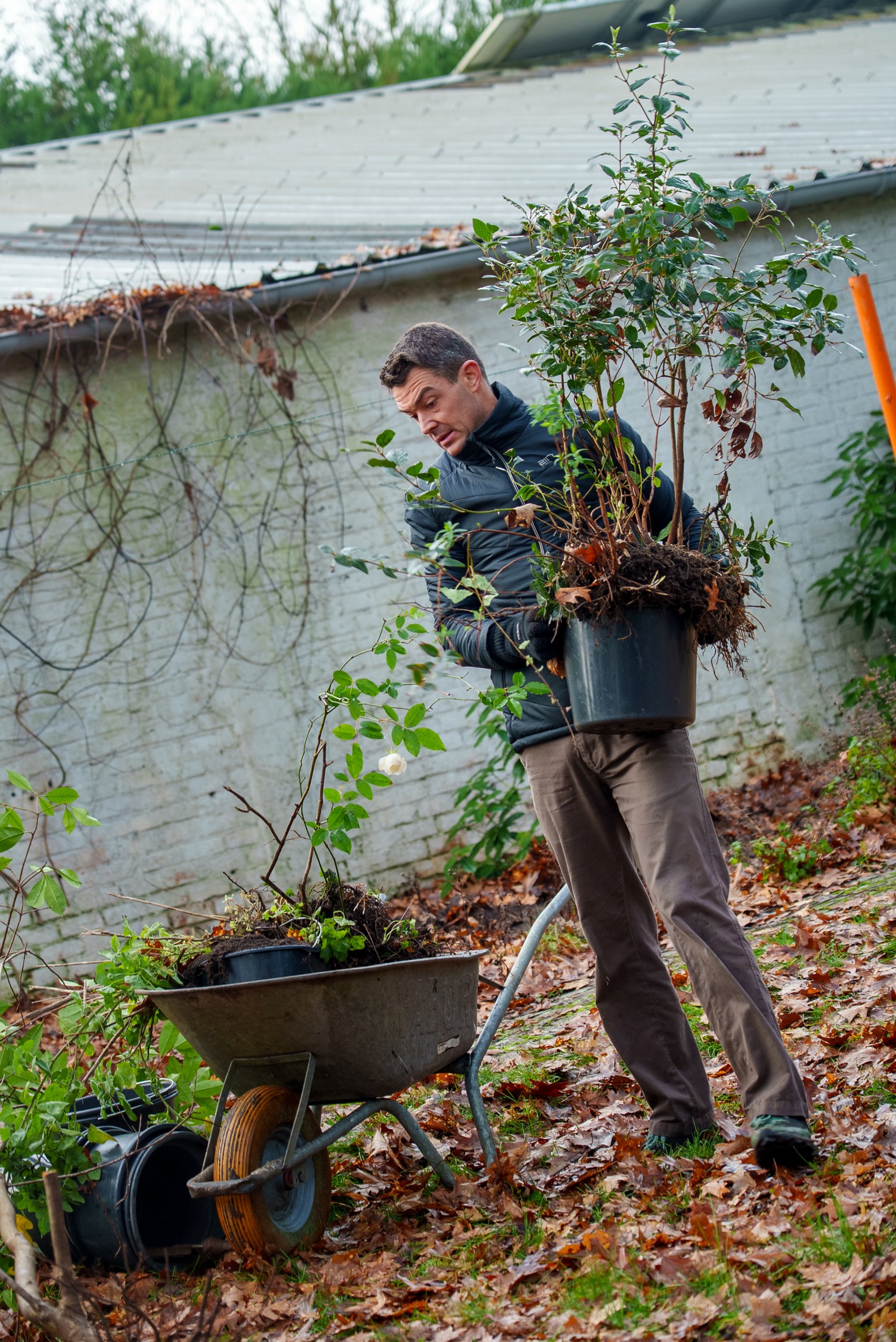 2025-12-22_NZL_Planten-redden-van-de-sloop_15_c_De-Werkvennootschap.jpg