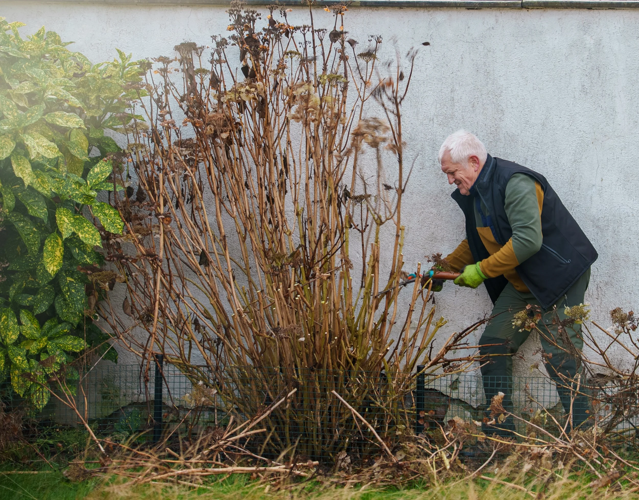 2025-12-22_NZL_Planten-redden-van-de-sloop_23_c_De-Werkvennootschap.jpg