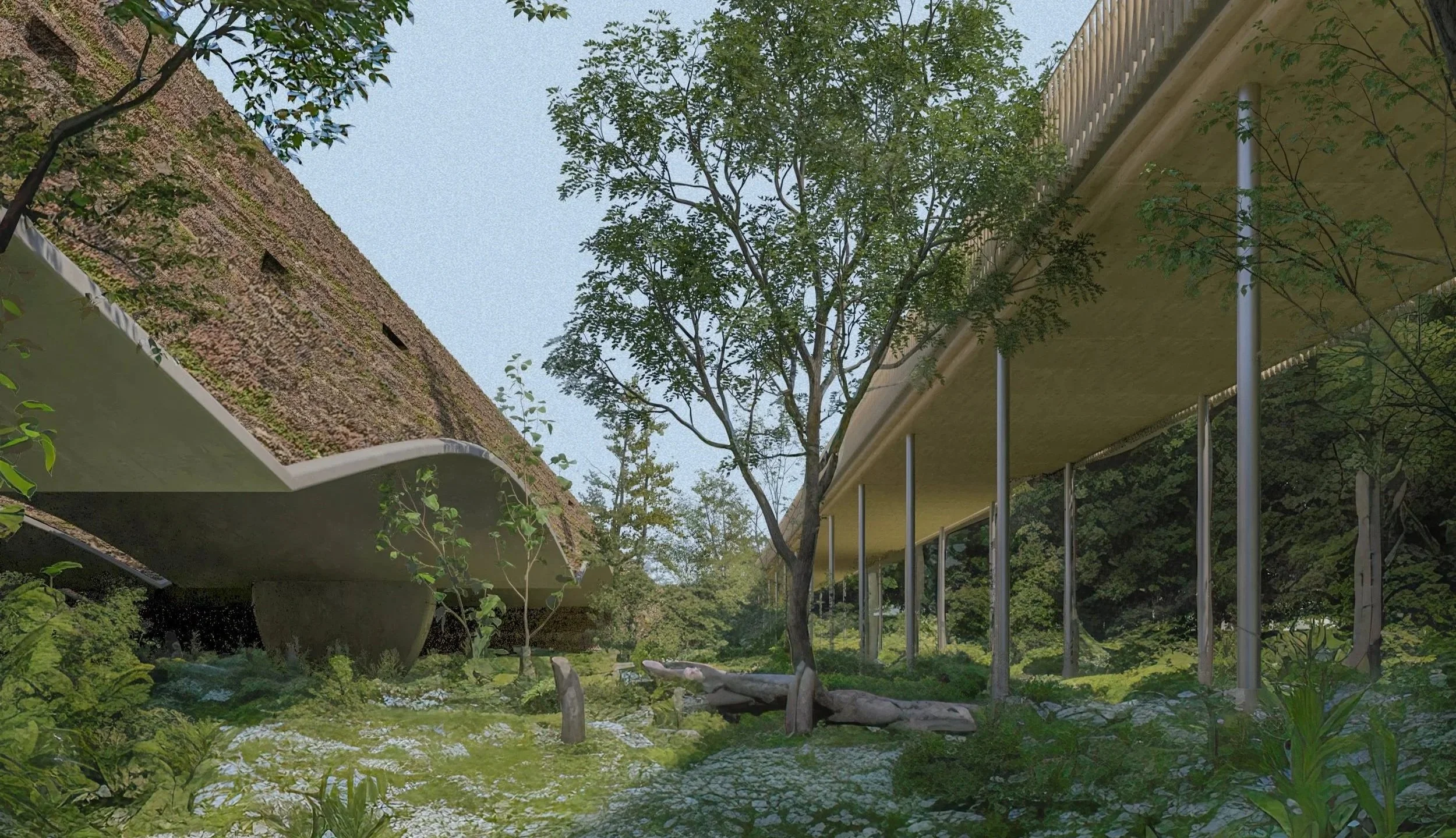 Het belang van natuur en (leef)omgeving