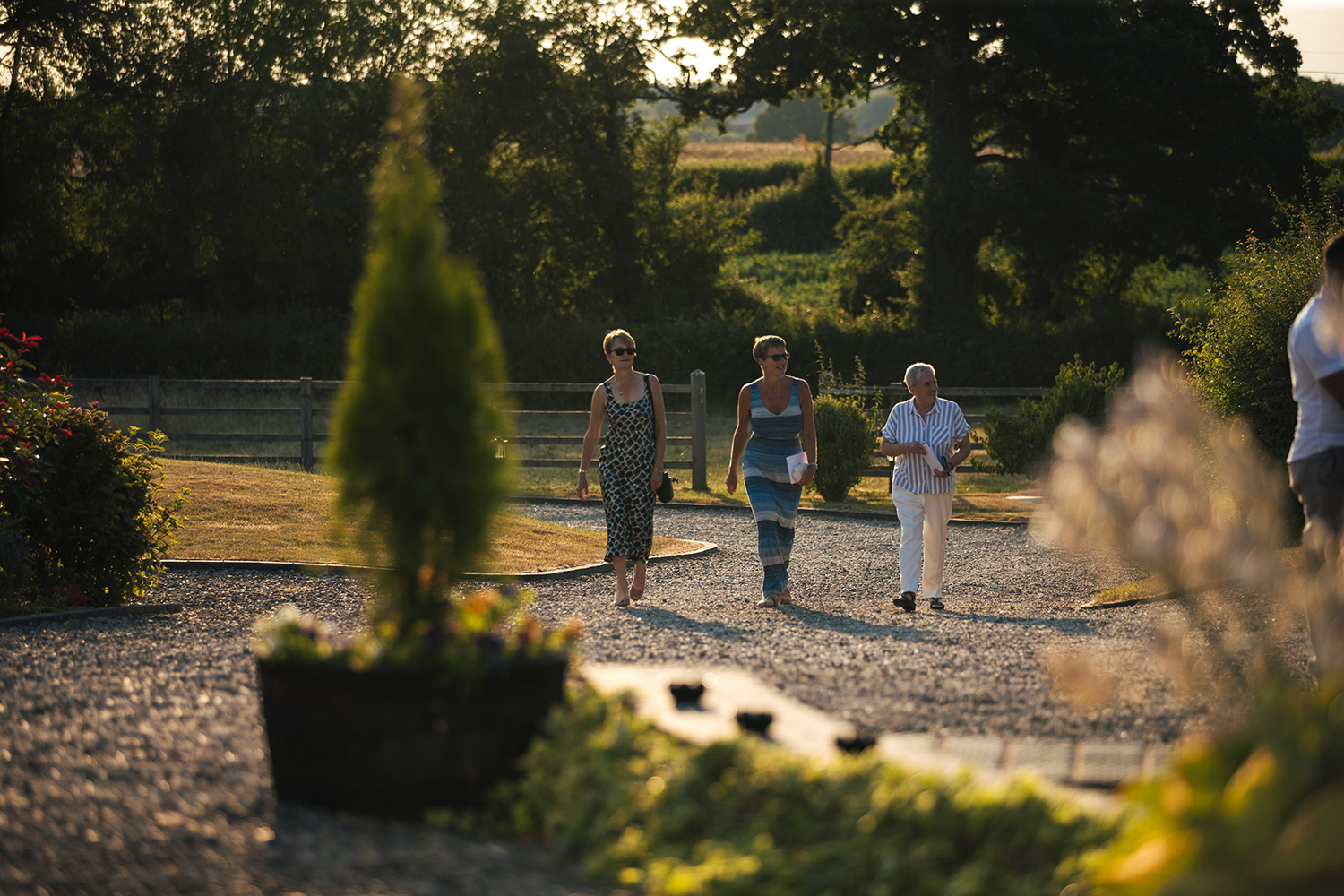 Evening guests arriving to the wedding