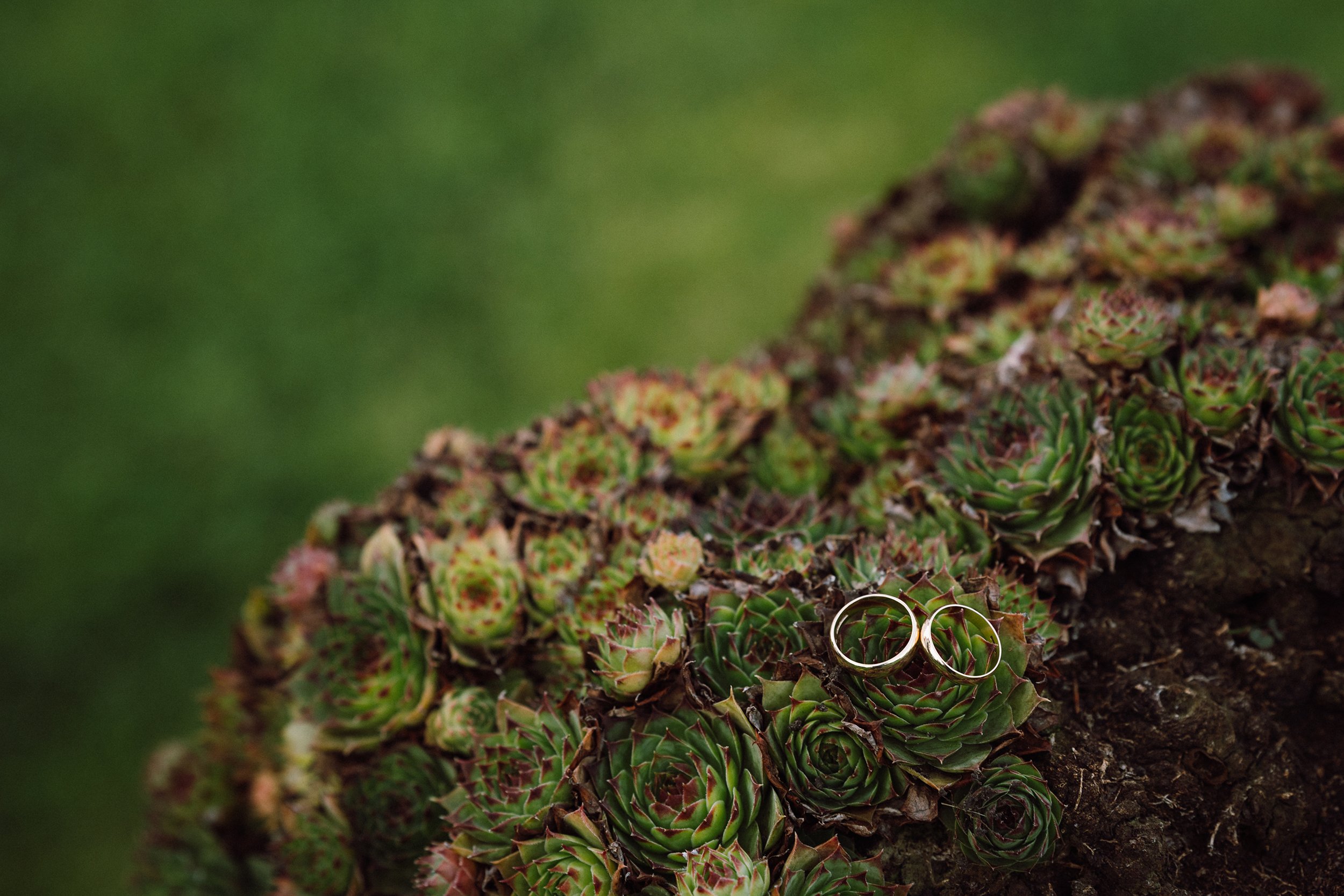 wedding-ring-inspo.jpg