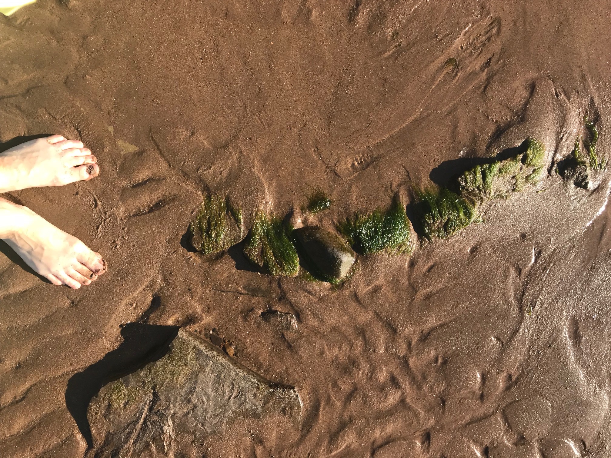Feet on the sand Rushton's beach.jpg