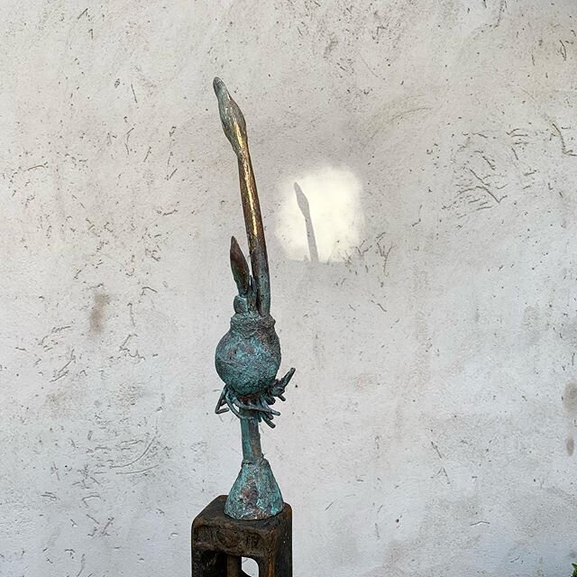 Amaryllis i brons.  #craft #christelkhan  #båstad #bjärehalvön #garden #trädgård #greenhouse #skane #skåne #skulptur #skulptur #brons #bronze #visitbastad