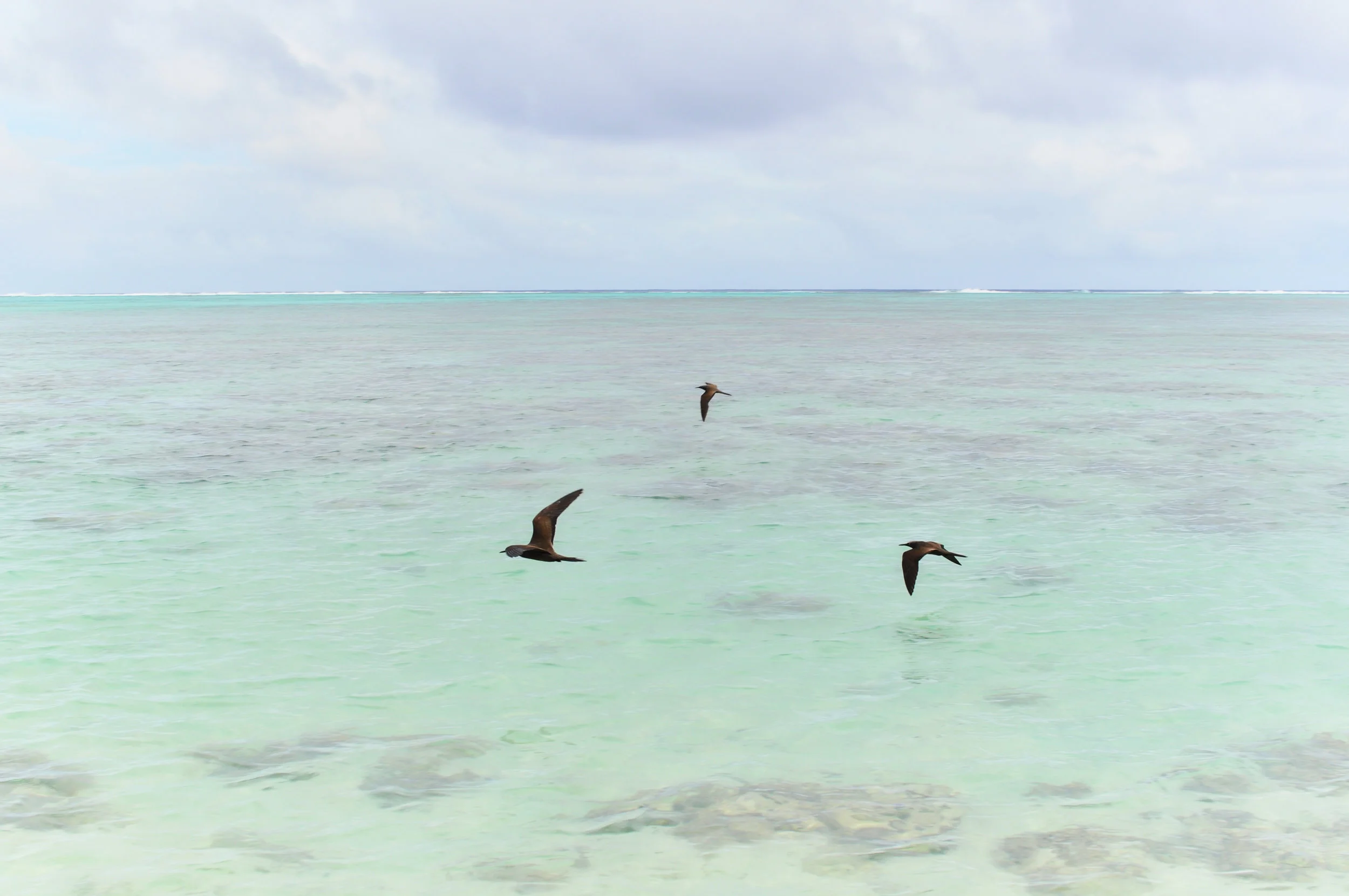 2018_Website_Cook_Islands_ 1.jpg