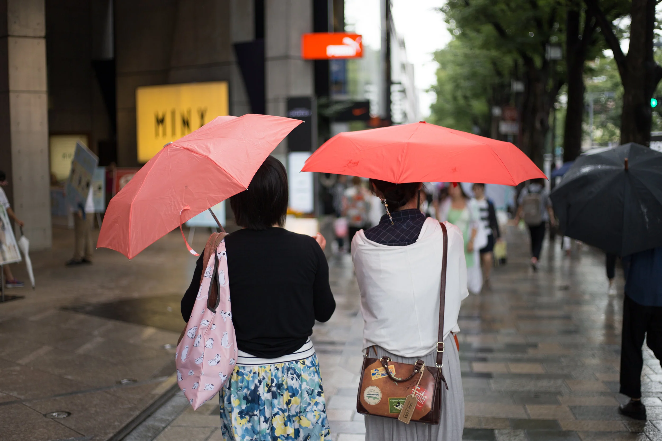 Umbrellas and Shit.jpg
