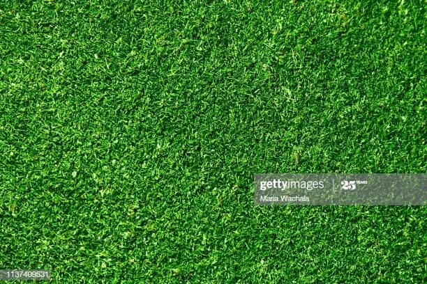 Grass Image with Watermark.jpg