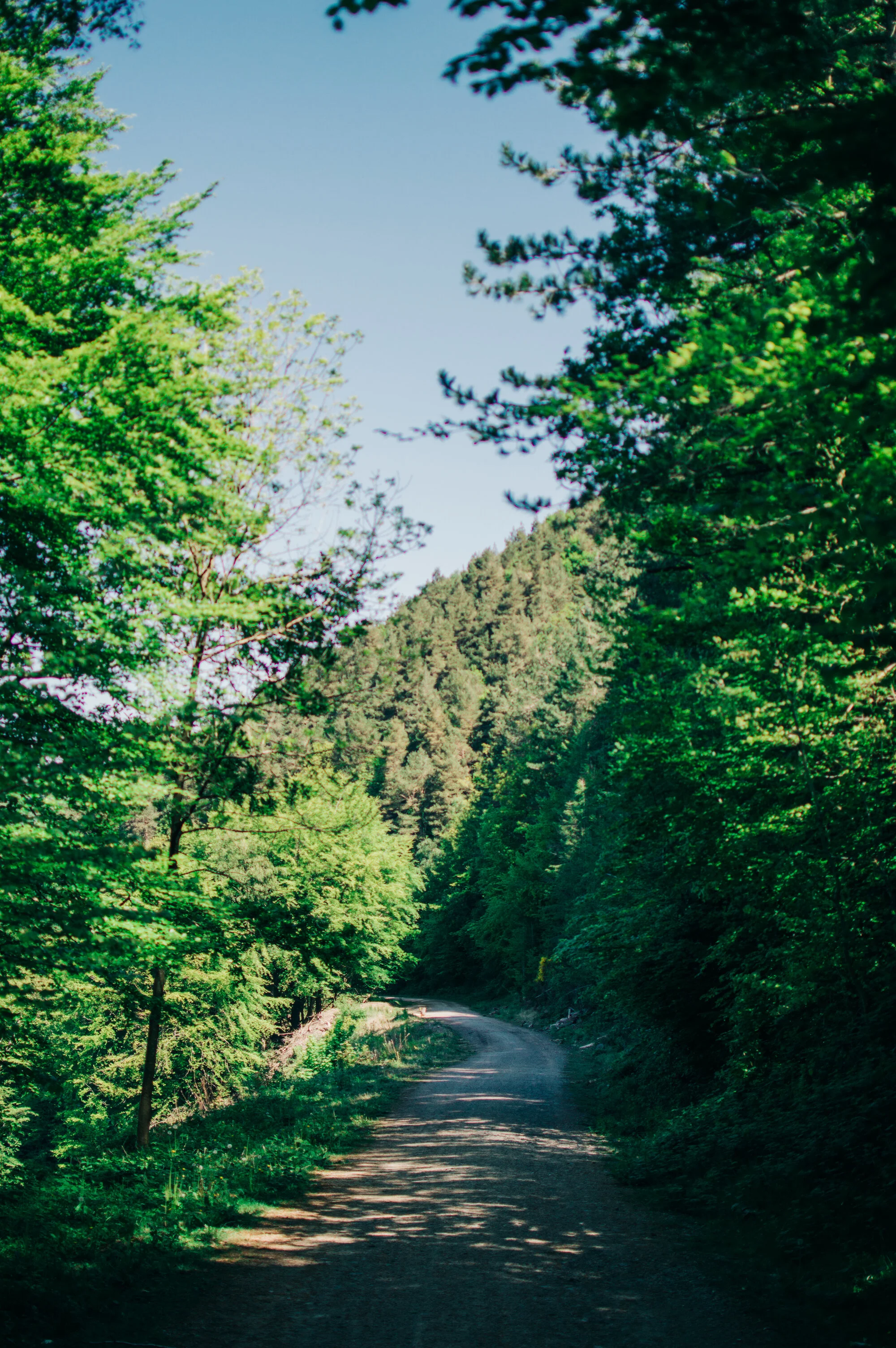 DSC_0114.jpg