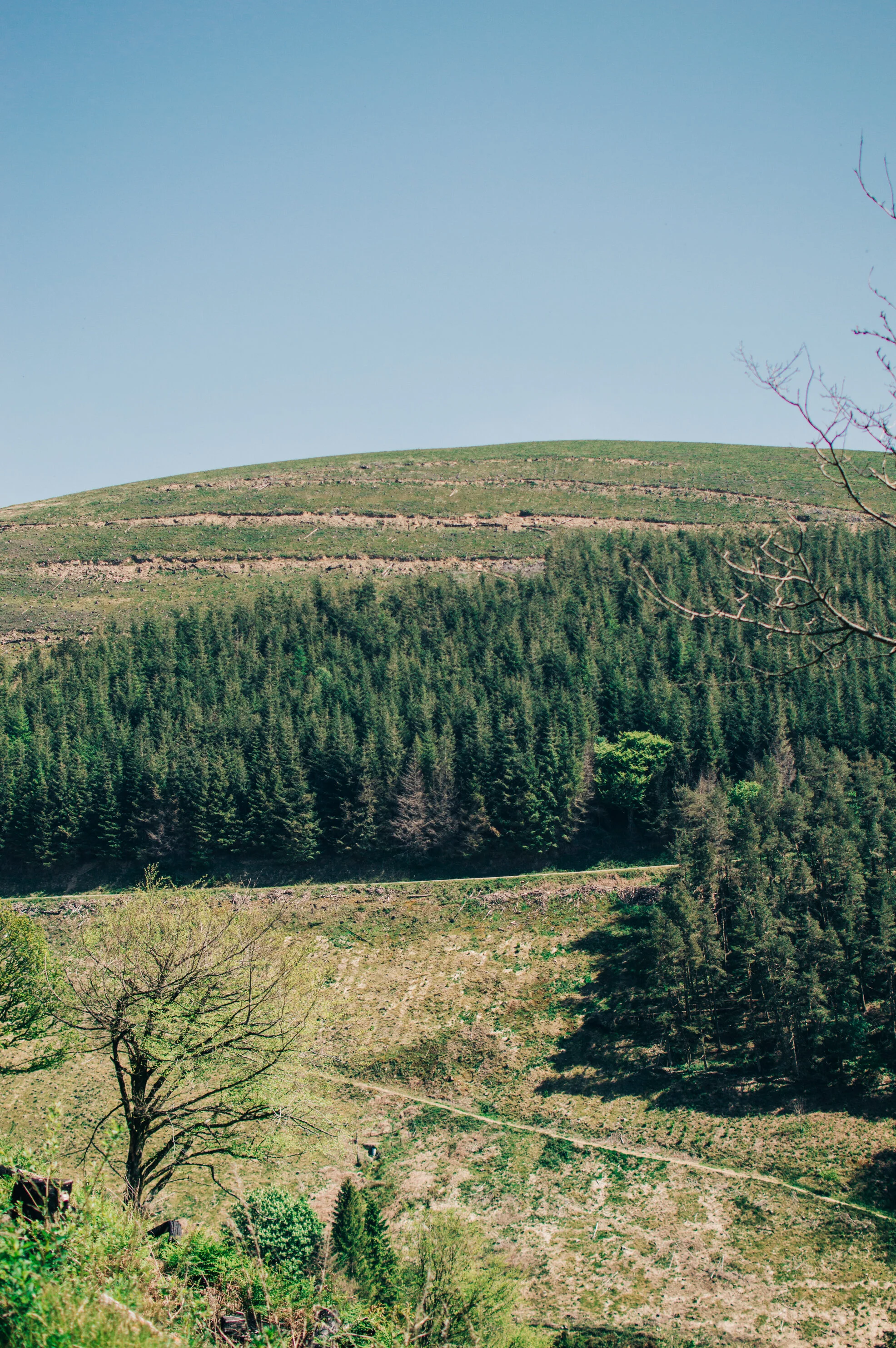DSC_0279.jpg