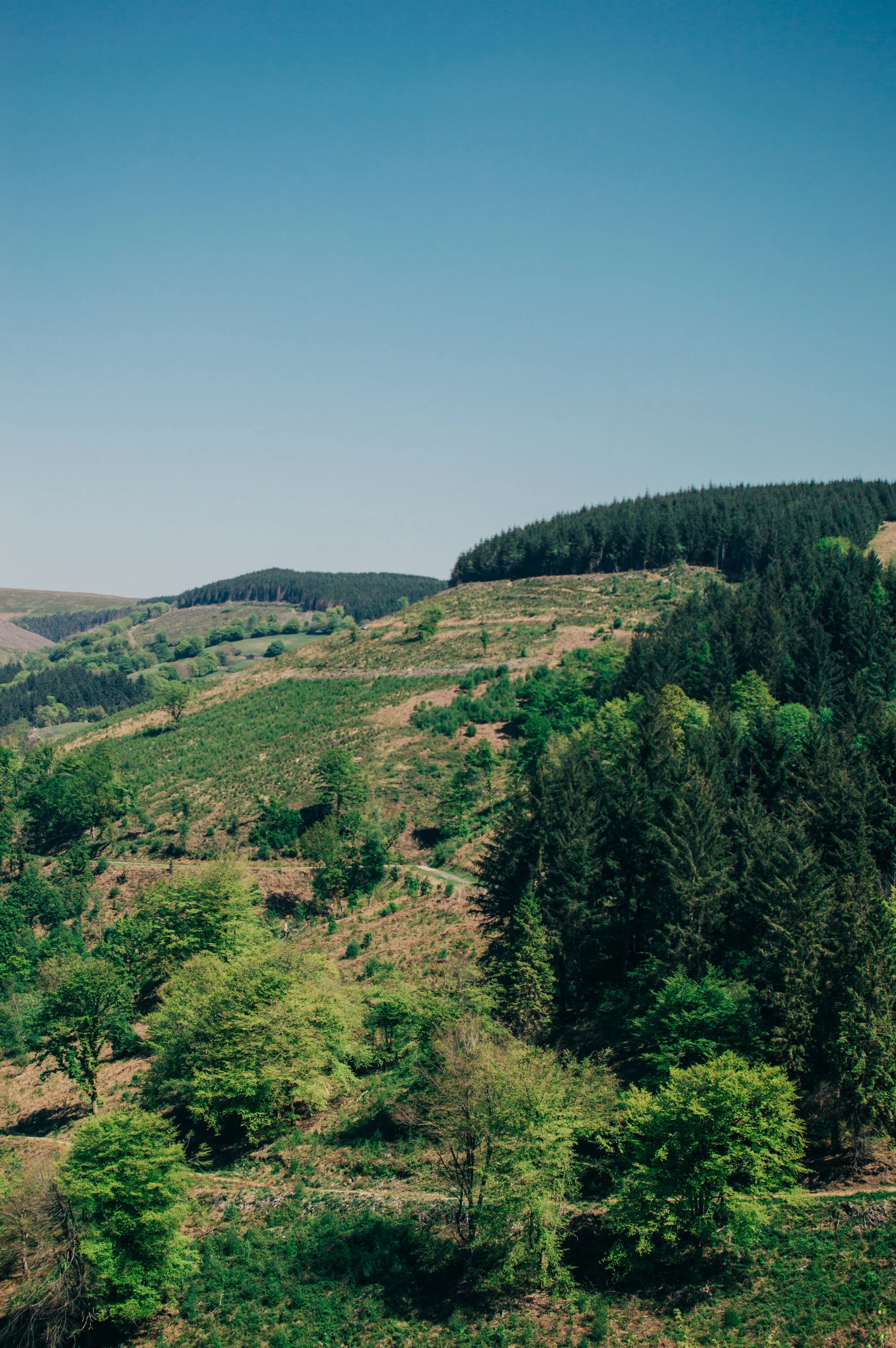 DSC_0296.jpg
