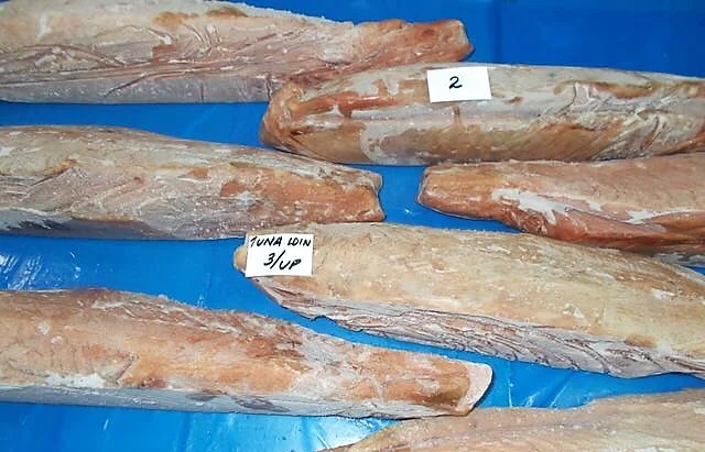 Wild Caught Yellowfin Tuna Loin