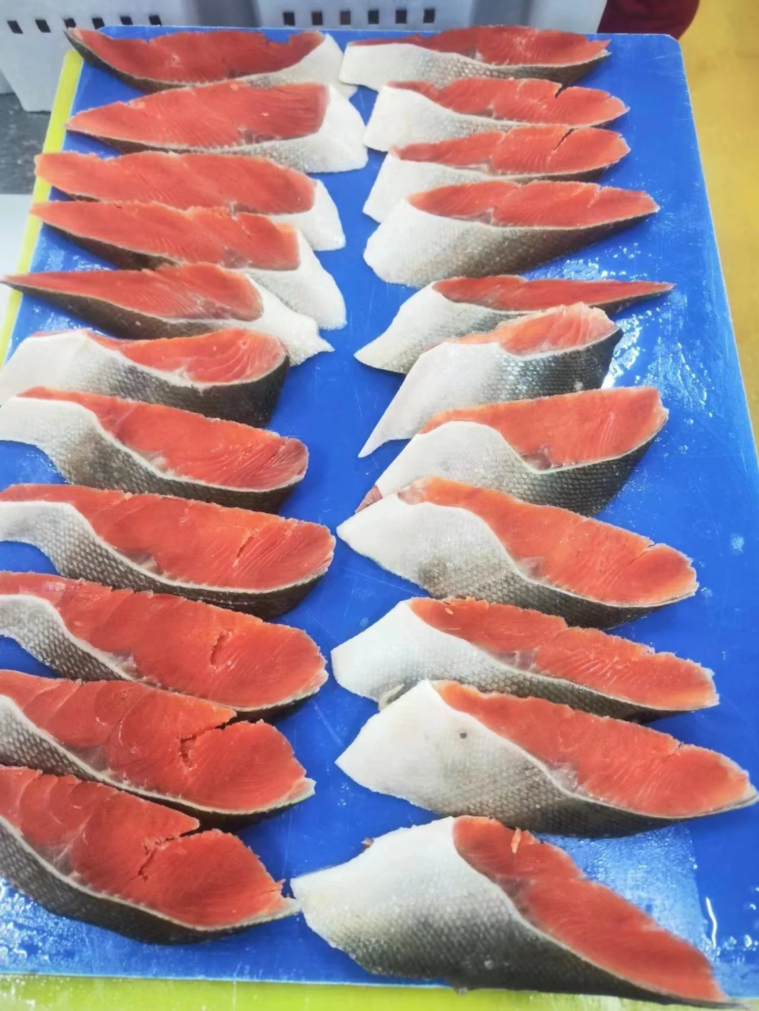 Sockeye Salmon