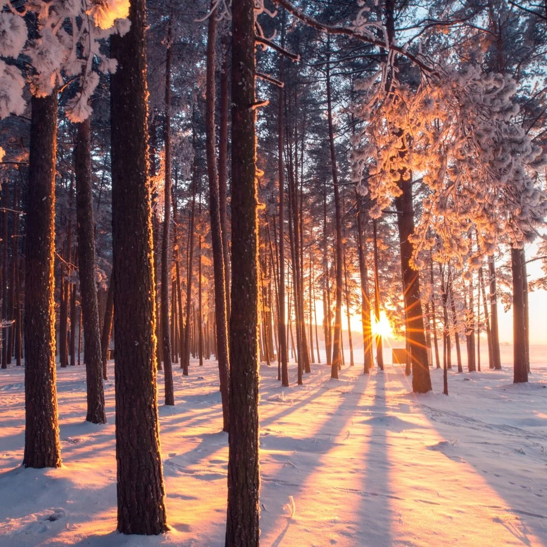 Winter+Renewal+Retreat+Day+4.jpg