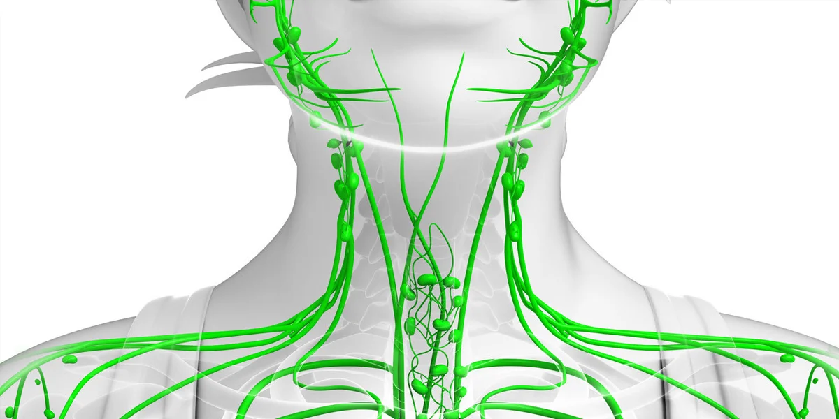 Limber up your Lymph