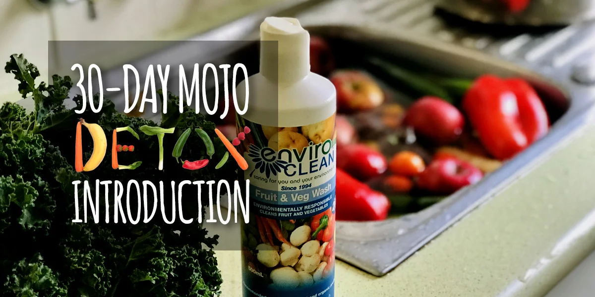 mojo-detox-intro-header.jpg