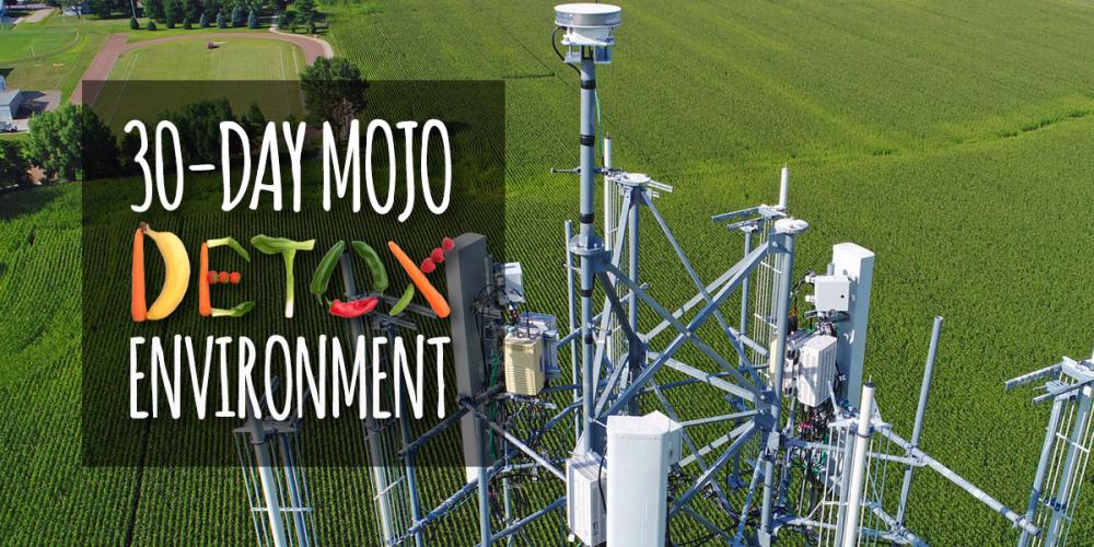 environment-detox-header.jpg