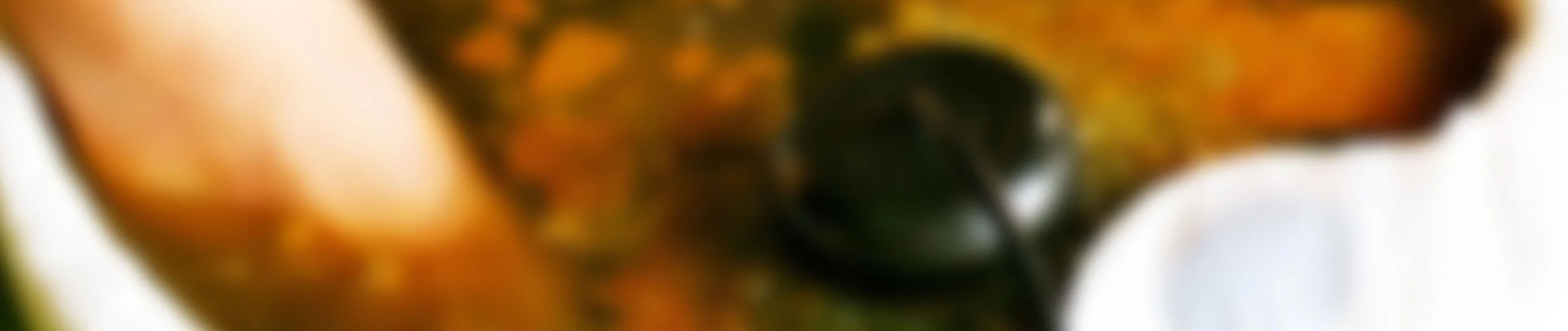 footspa-header.jpg