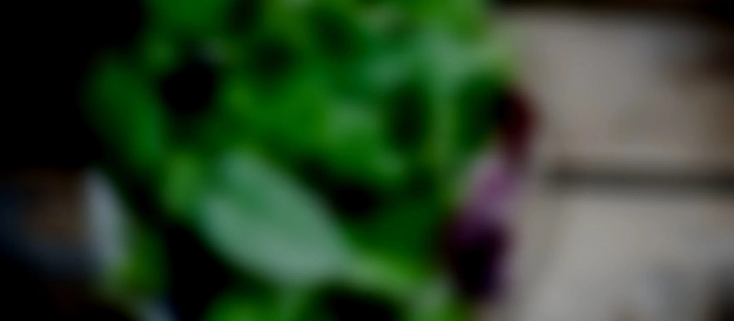 Screen%2BShot%2B2021-12-11%2Bat%2B1.39.18%2Bpm.jpg