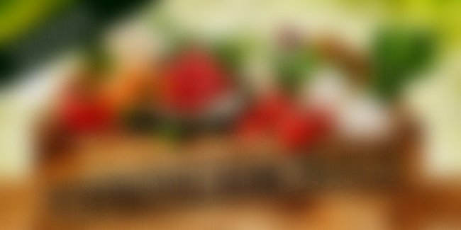 mojo-detox-autumn2021-emailheader.jpg