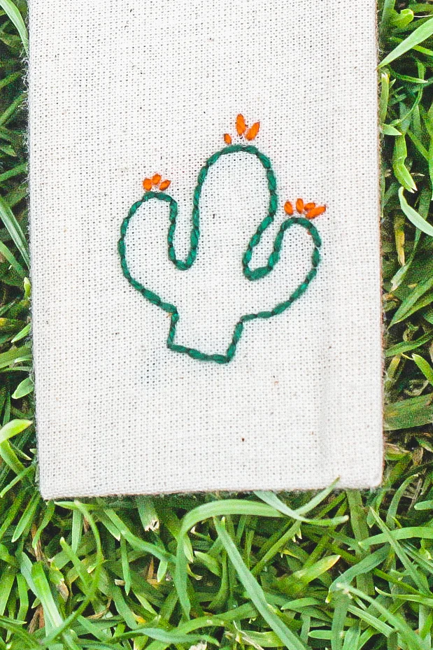 orange cactus.jpg