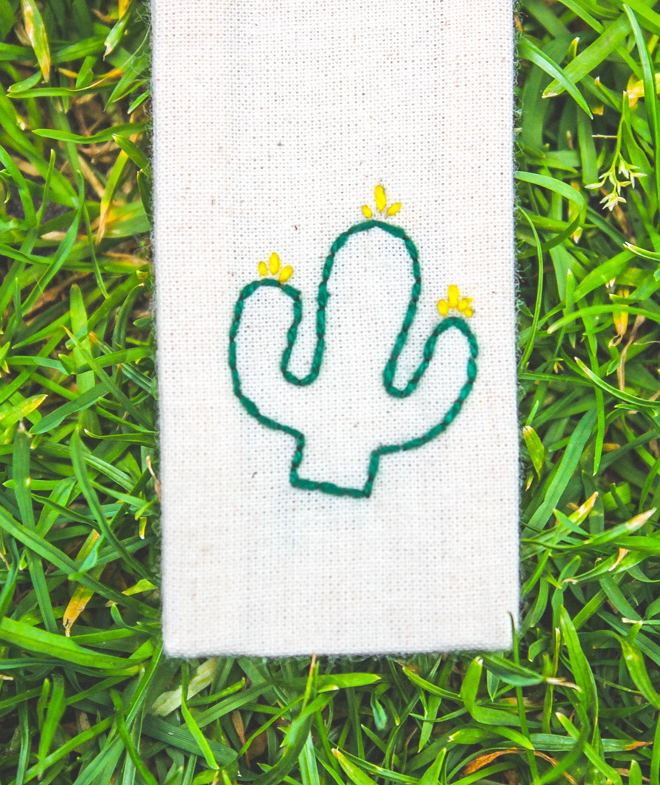 yellow cactus.jpg