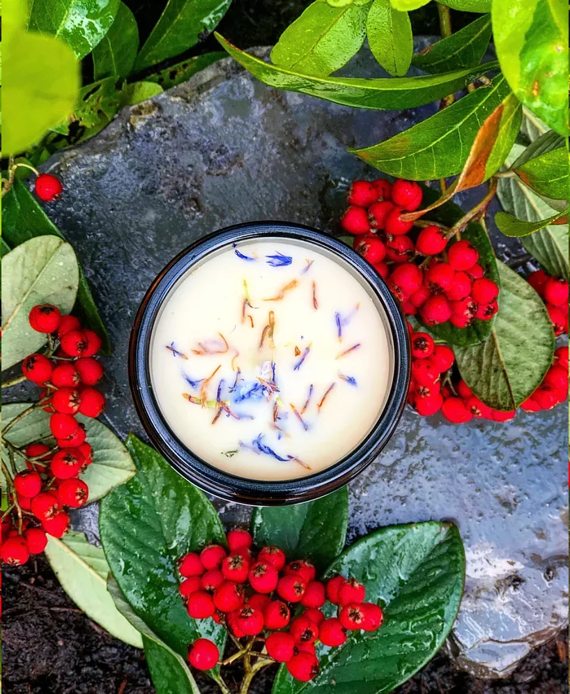 Snow berries 3.jpg