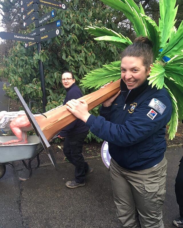 This palm tree was way heavier than it looked. Can&rsquo;t wait to go enjoy some sunshine next week and some real tropical weather rather than carry it around. 
#zoolife #vetstudent #vetlife #veterinarian #edinburghzoo