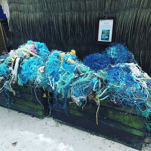 Ghost nets: nets that are left behind in the ocean and entangle with basically anything. We see a lot of wildlife entangled in these nets and depending on the animals, how much net, and what else is connected in the net it can cause a lot of problems