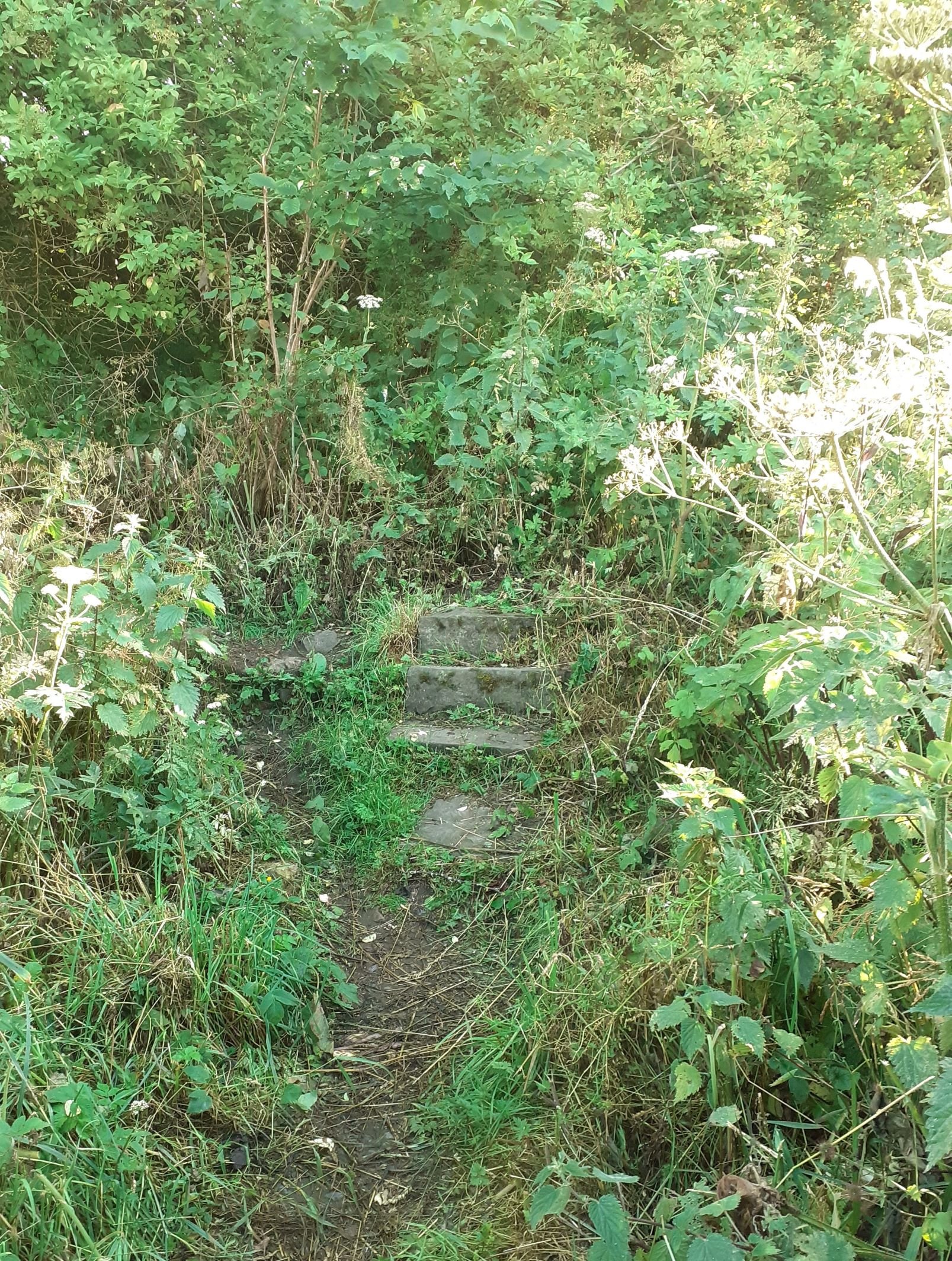 '26 steps 'before' 20250702_194021.jpg