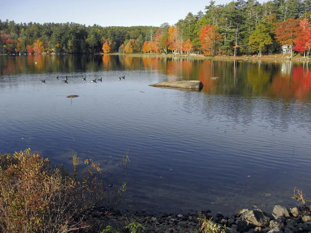 Alamoosook-Lake.jpg