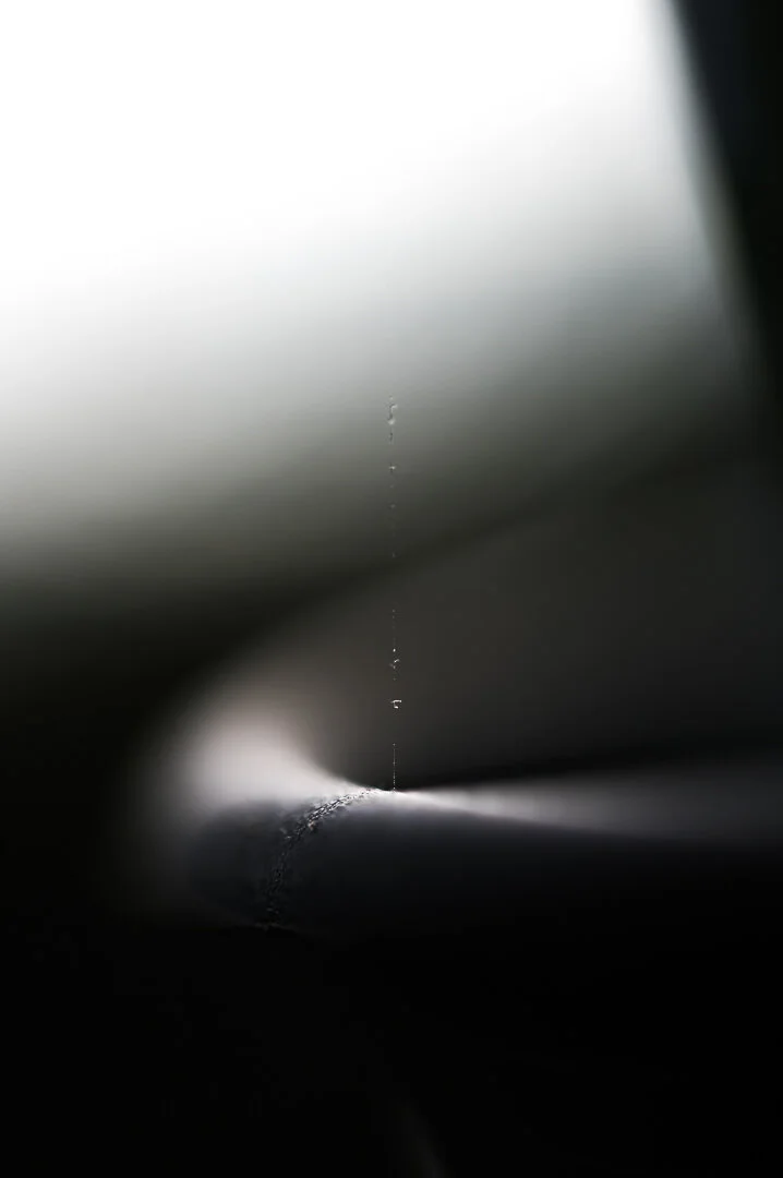Lines+(6+of+13).jpg