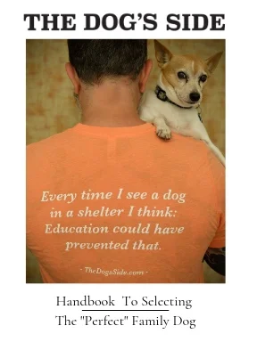 Guide+To+Selecting+The+Perfect+Family+Dog.jpg