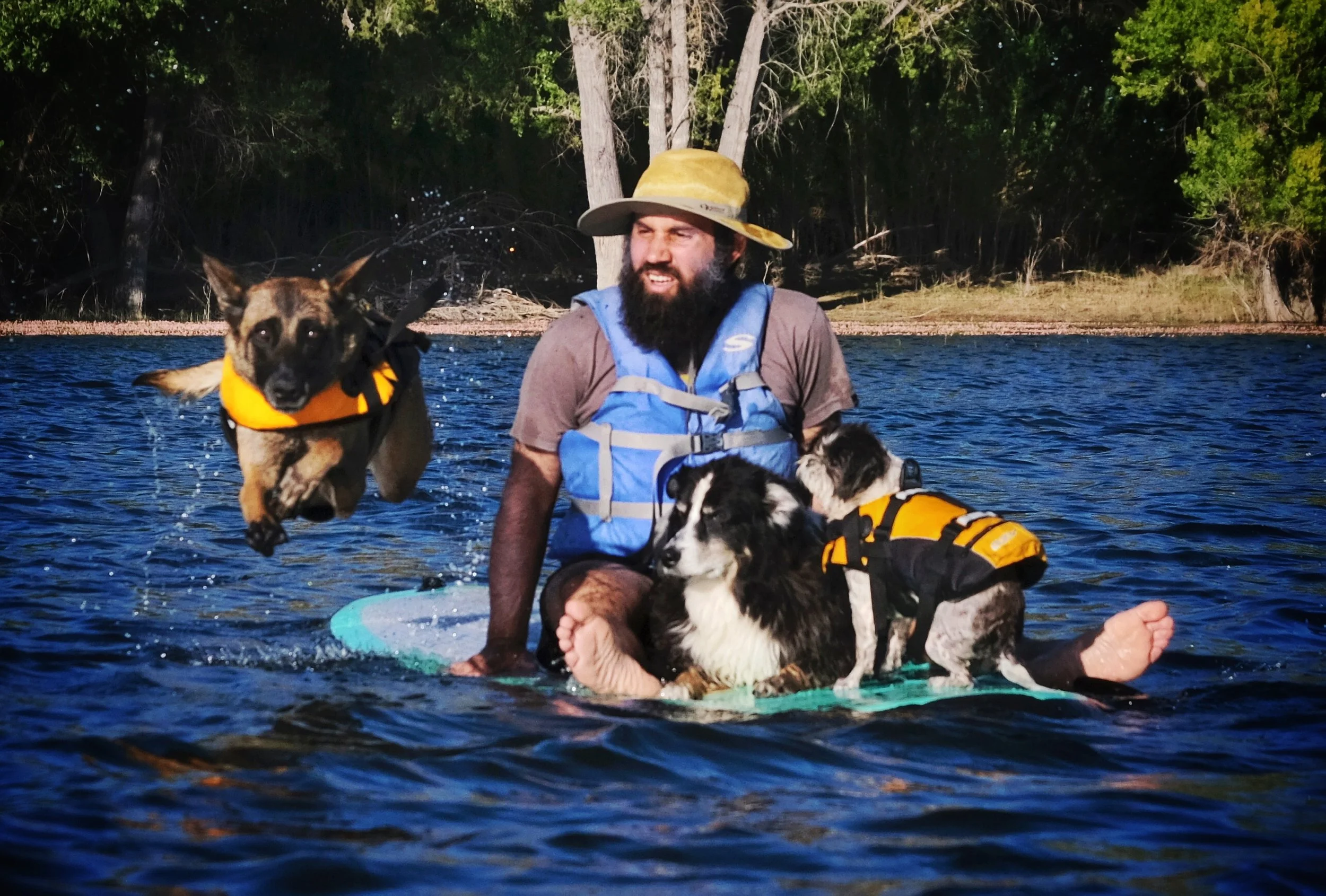 How to Road Trip With Your Dog Like A Pro