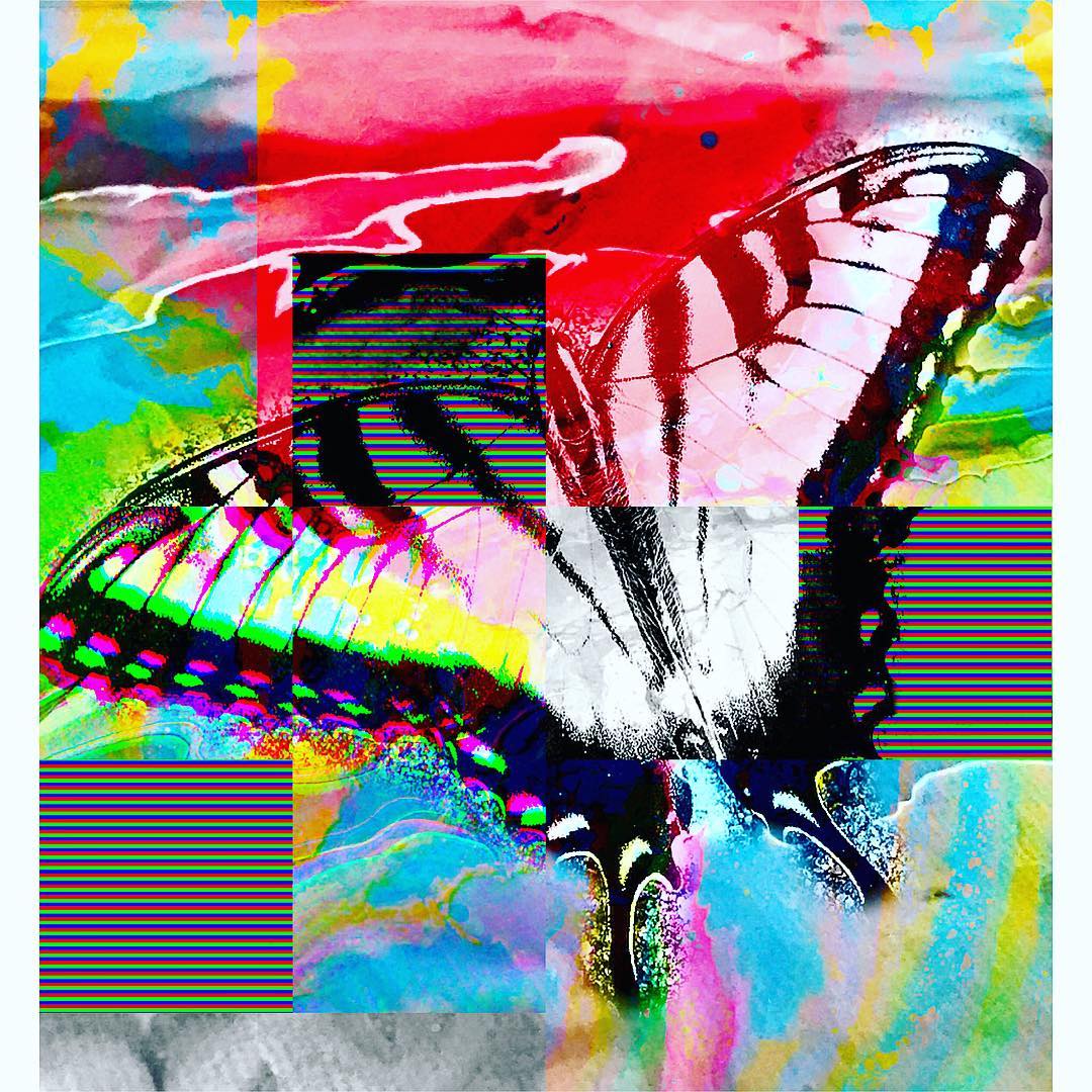 Papilio Glaucus Glitch.jpg