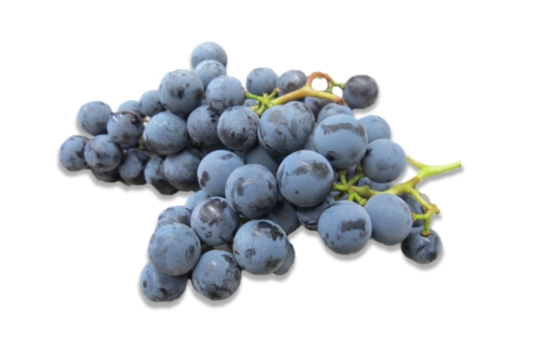 concord+grape.jpg