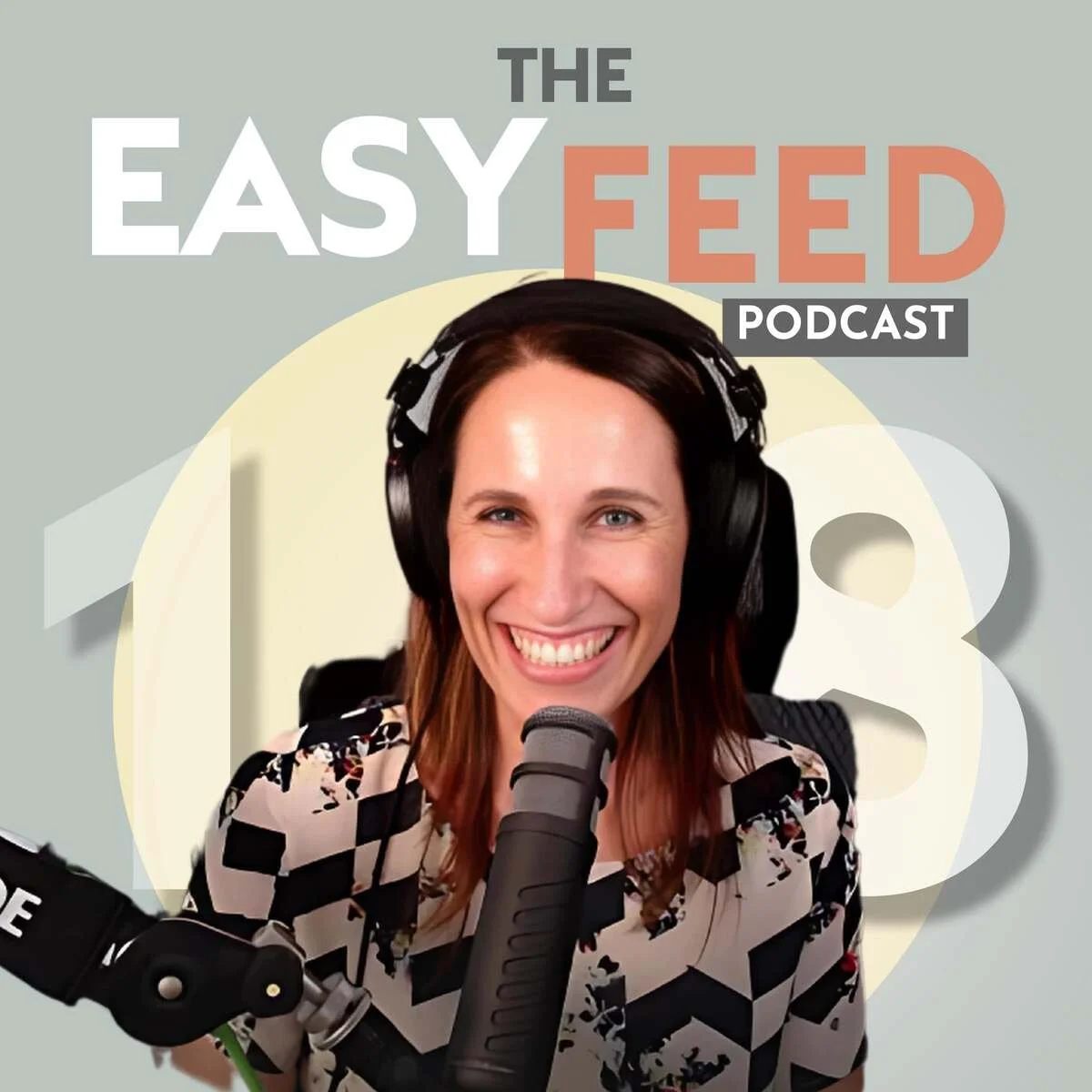 Episode 18: Saving Money on Groceries