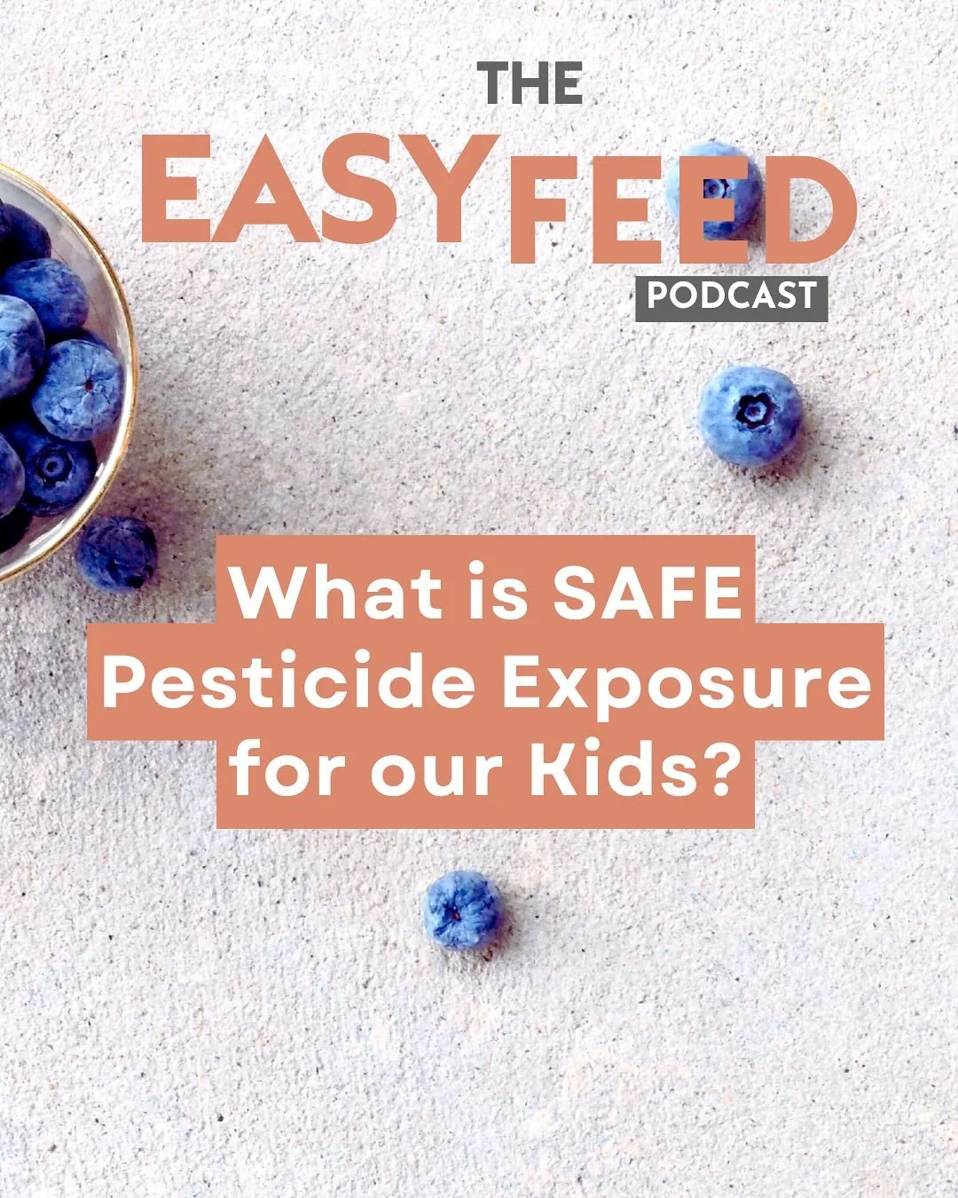 Have you heard about the latest blueberry pesticide scare? 🫐

If you&rsquo;re wondering how safe our food really is for our kids &mdash; and what you can actually do to reduce their risk of toxic pesticide exposure &mdash; you&rsquo;ll want to liste