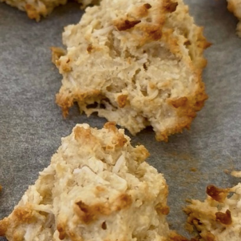 Coconut Almond Bites!