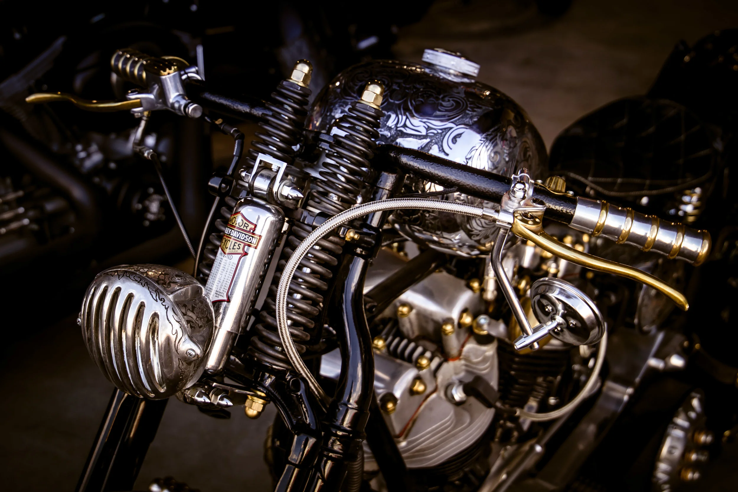 DFC 2018 by Dirk Behlau-7868.jpg