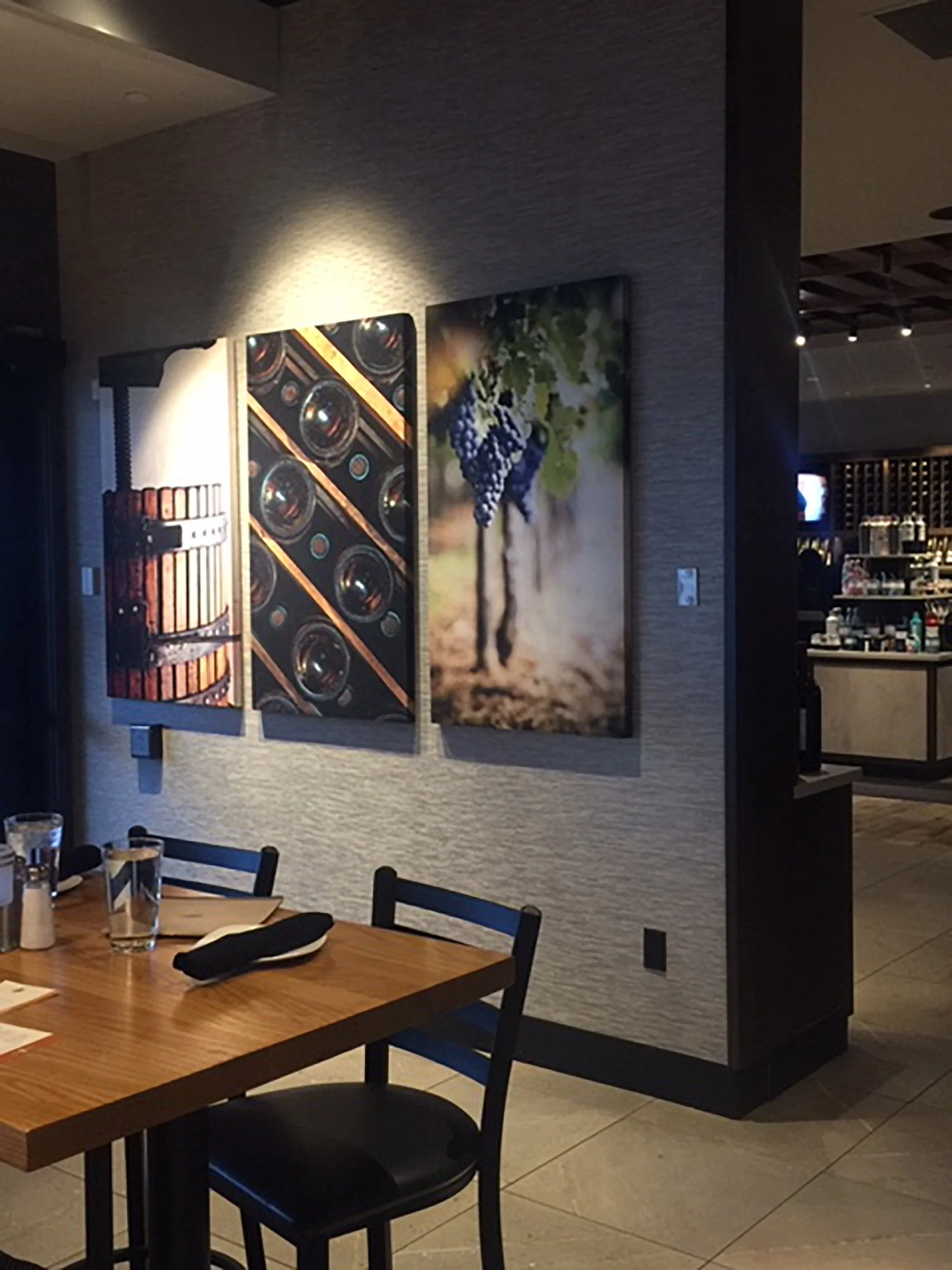 Coppers Hawk Beachwood.JPG