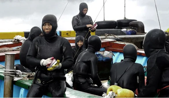 MIKHAIL KARIKIS | PROJETO WAPPING 