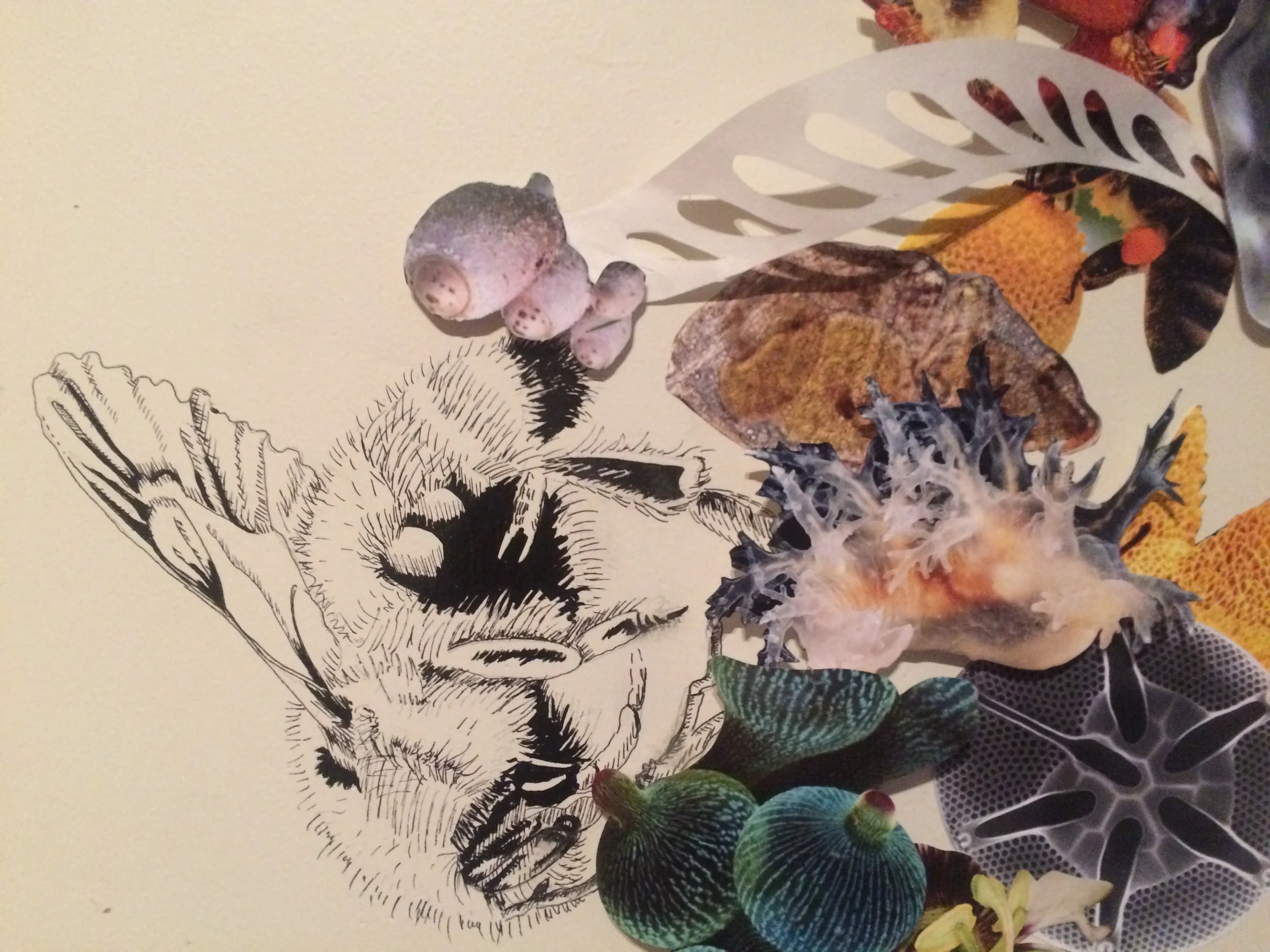 ABELHA TRANGÊNICA - PATRICIA REBELLO - SESC PIRACICABA