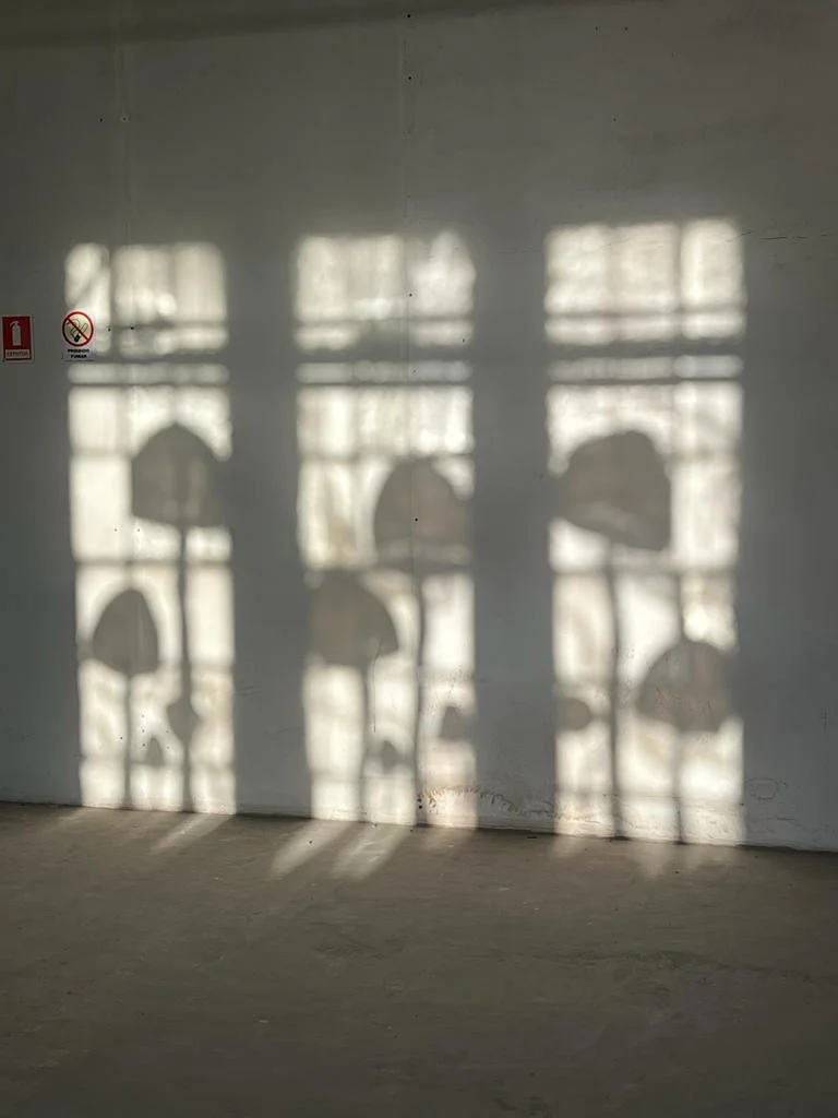 CLAUDIA MELLI | 13ª BIENAL DO MERCOSUL 