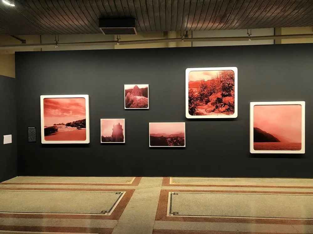 VICENTE DE MELLO | TODA NOITE