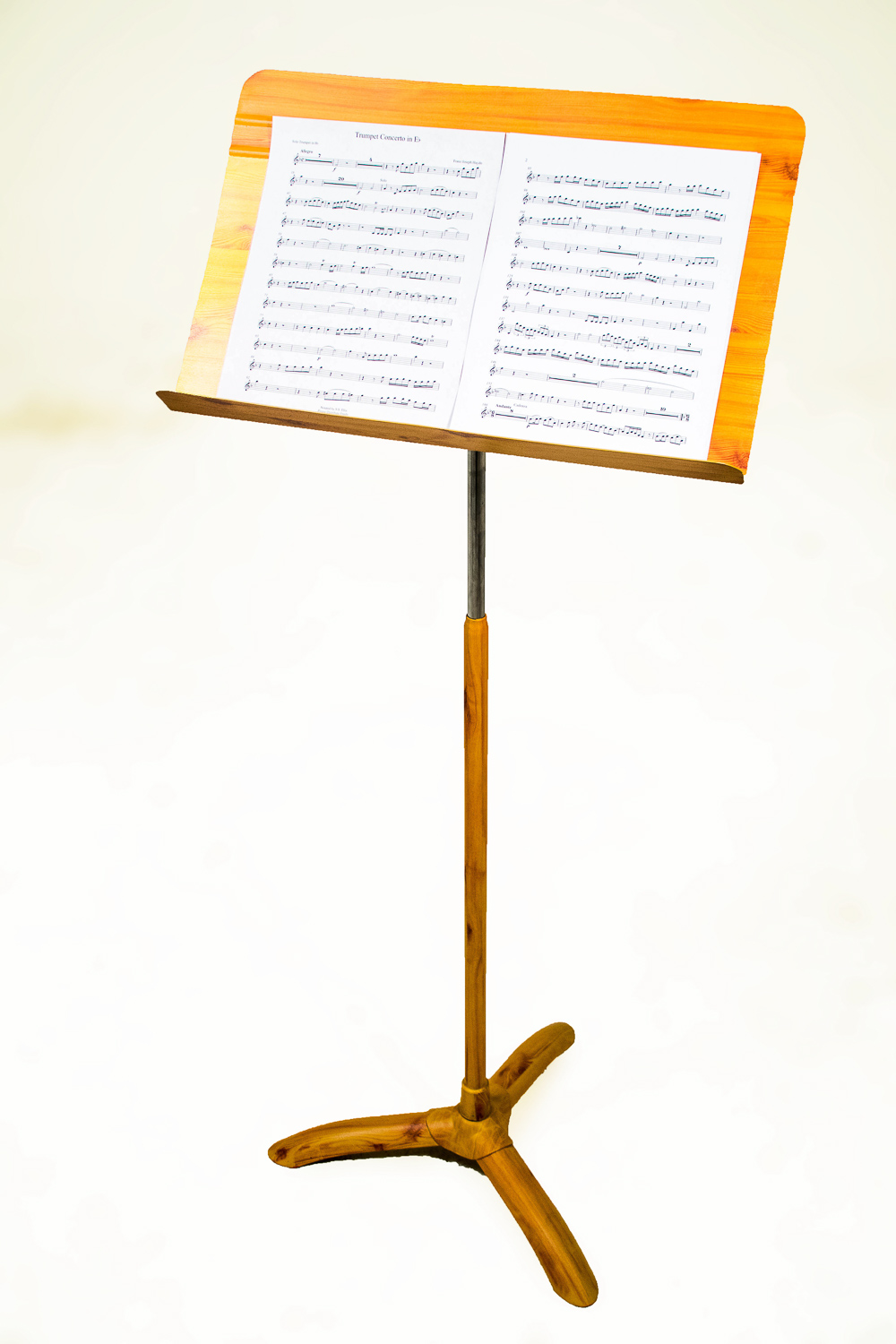 music stand edit 3.jpg