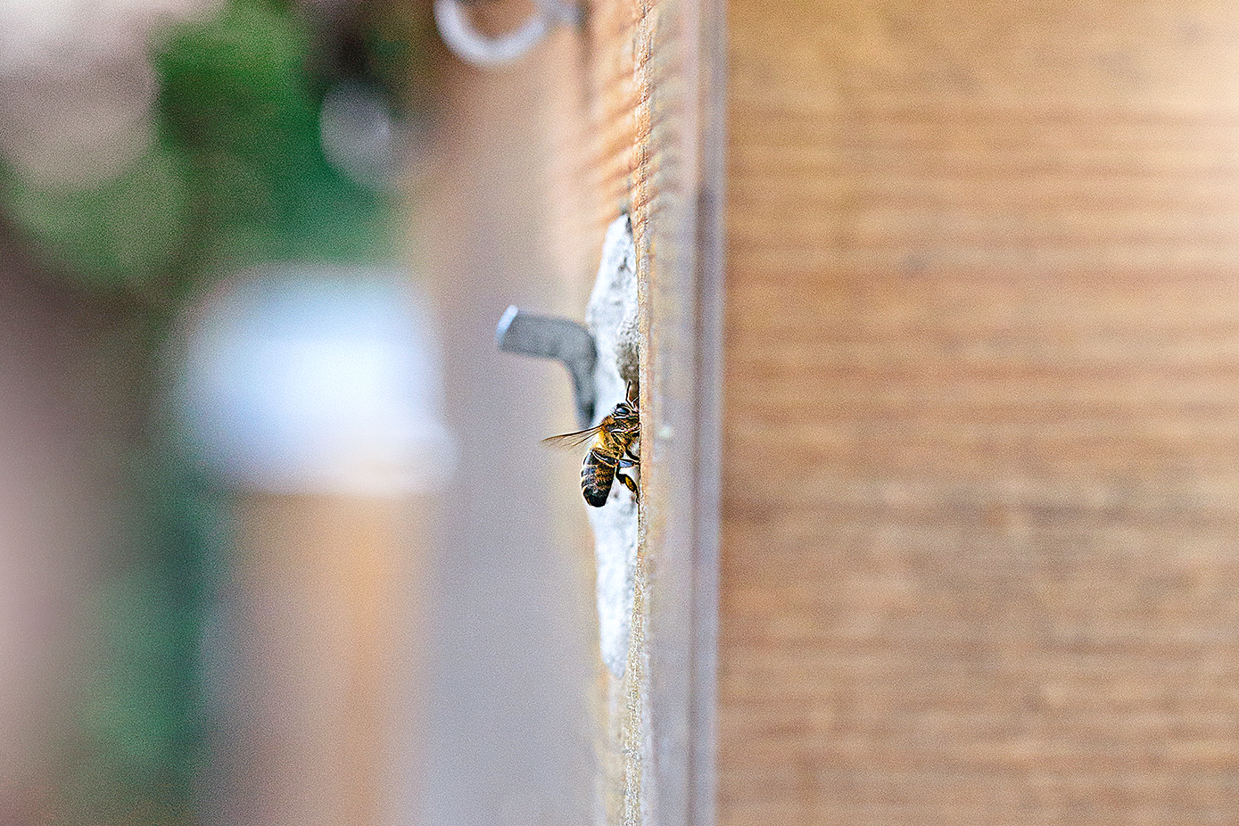 Mazda-Zoom-Zoom-Issue-26-The-Netherlands-photography-by-On-a-hazy-morning-Amsterdam-HR-1 copy.jpg