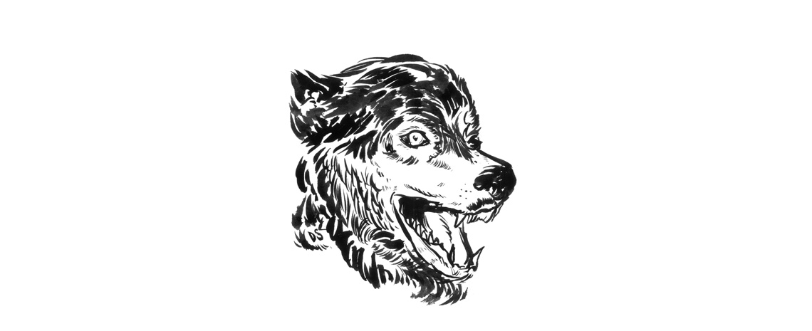 header_web.jpg