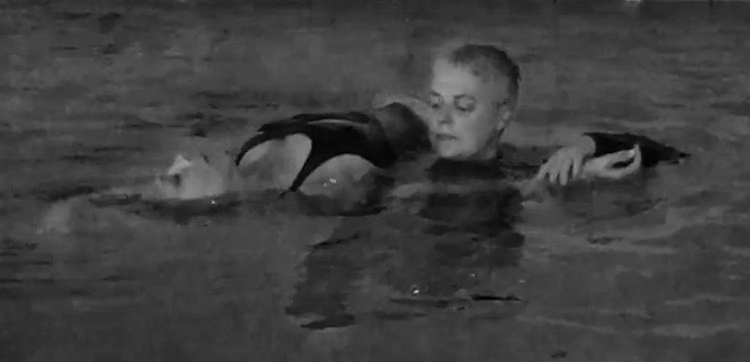 AQUATIC-THERAPY-4.jpg